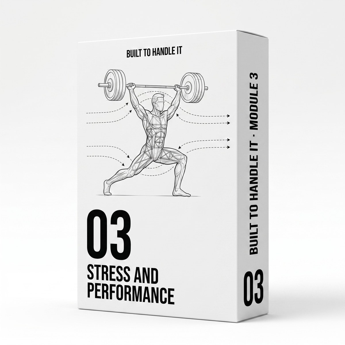 Module 3 — Stress and Performance