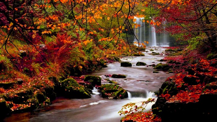Fall-Autumn-Stream-Waterfall
