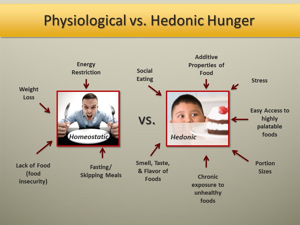 Physiological vs Hedonic Hunger