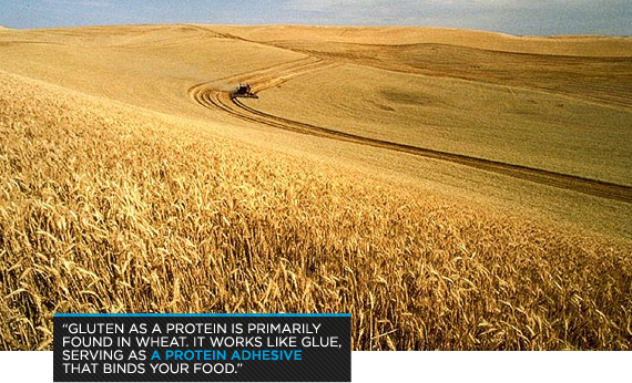 atmm-everything-you-need-to-know-about-gluten-wheat-b