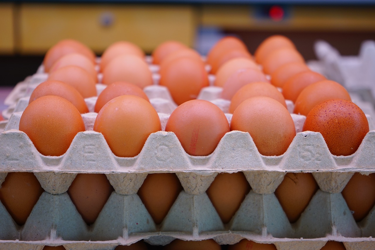 Nutrition Debate: Are Eggs Good For You?